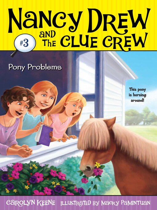 Title details for Pony Problems by Carolyn Keene - Wait list